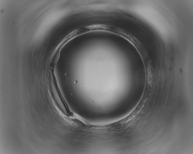 X0000070210861200605301401