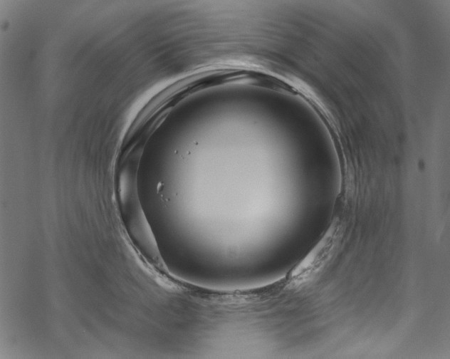 X0000070210862200605301401