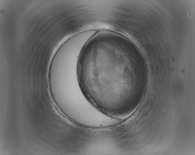 X0000070210864200605301401