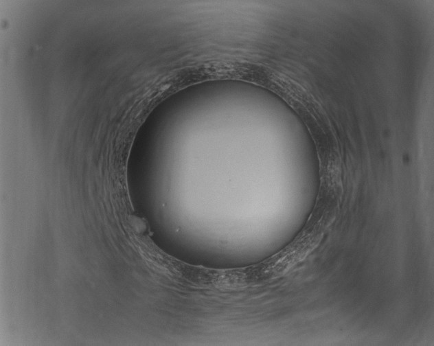 X0000070210865200605301400