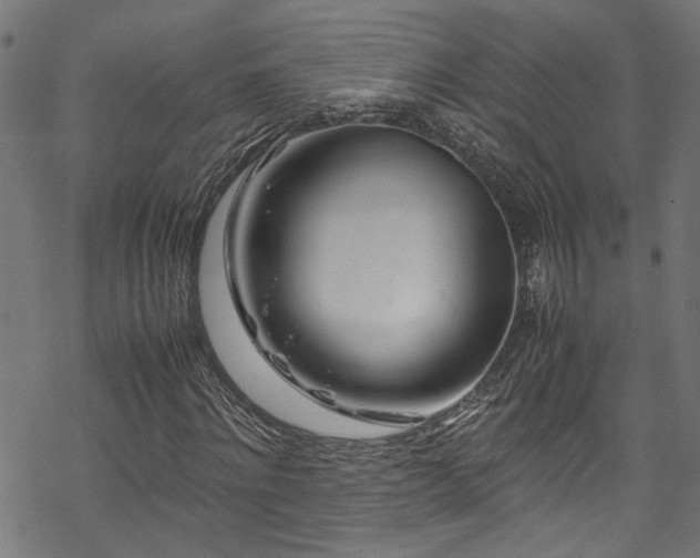 X0000070210868200605301400