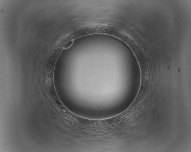 X0000070210869200605301400