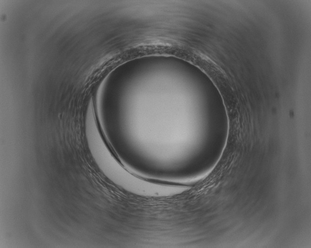 X0000070210870200605301400