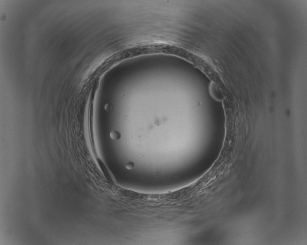 X0000070210871200605301400