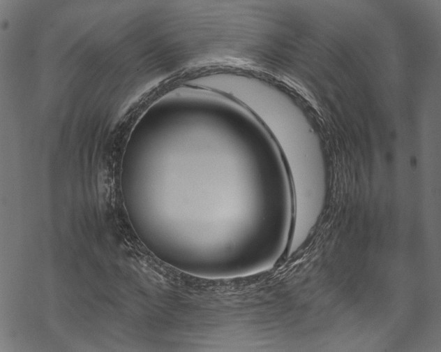 X0000070210872200605301400