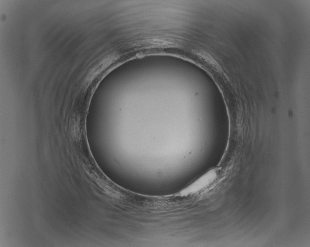 X0000070210873200605301400