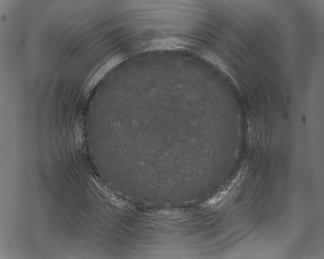 X0000070210874200605301400