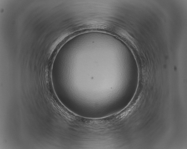 X0000070210875200605301400