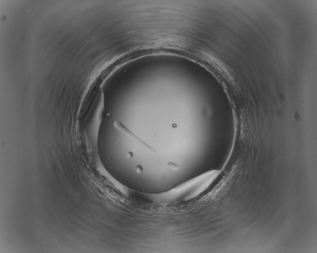 X0000070210876200605301400