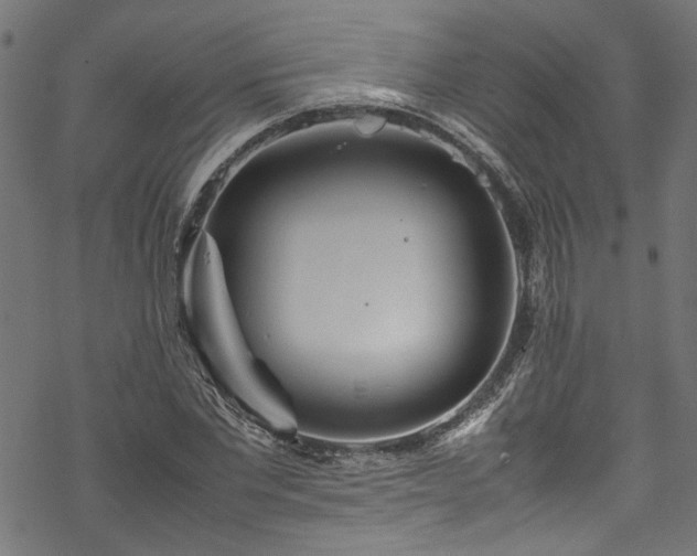 X0000070210877200605301400