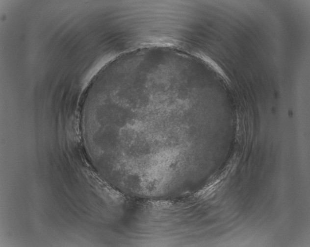 X0000070210878200605301400