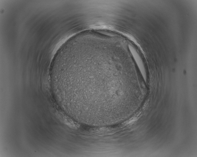 X0000070210879200605301400