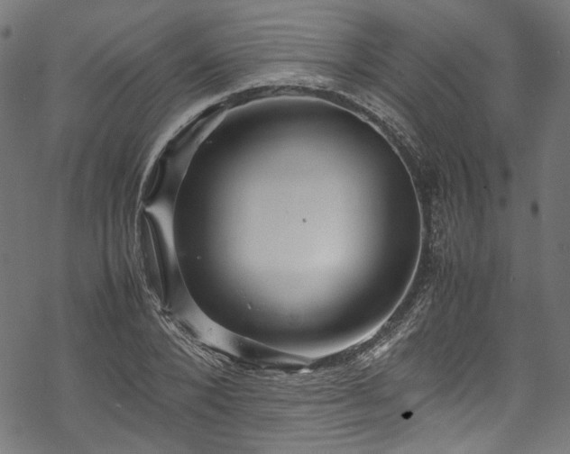 X0000070210880200605301400