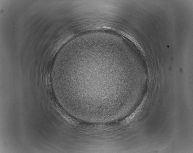 X0000070210881200605301400