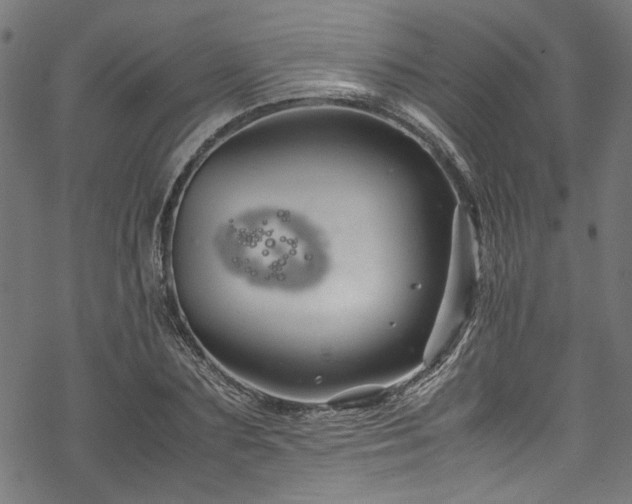 X0000070210883200605301400