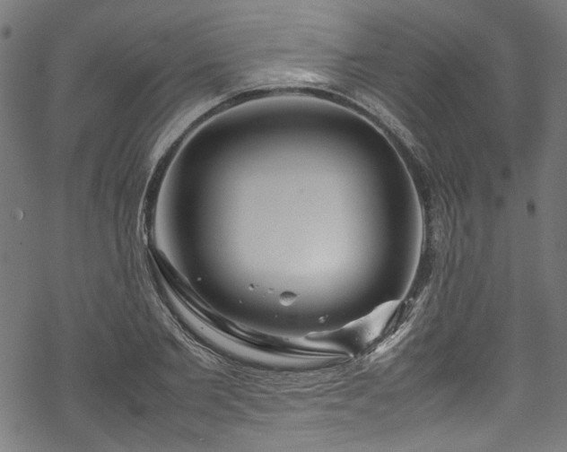 X0000070210885200605301400