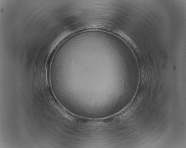 X0000070210886200605301359