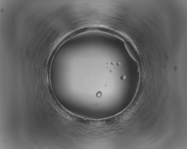 X0000070210887200605301359