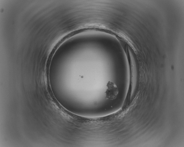 X0000070210888200605301359