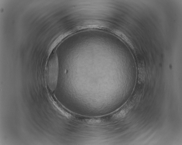 X0000070210890200605301359