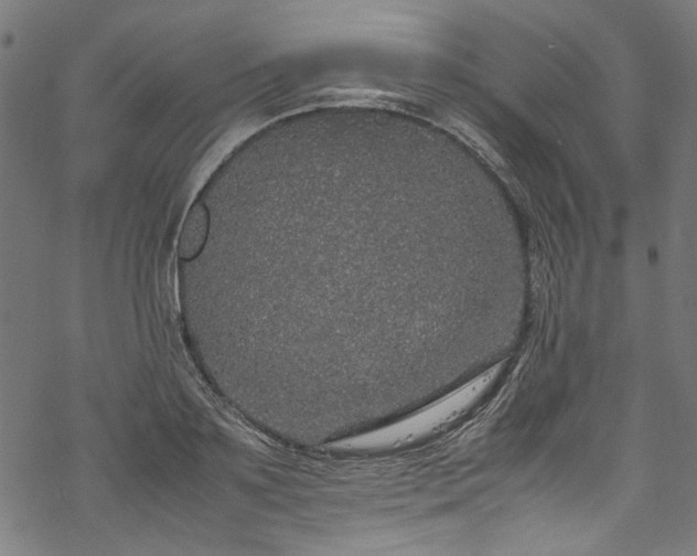 X0000070210891200605301359