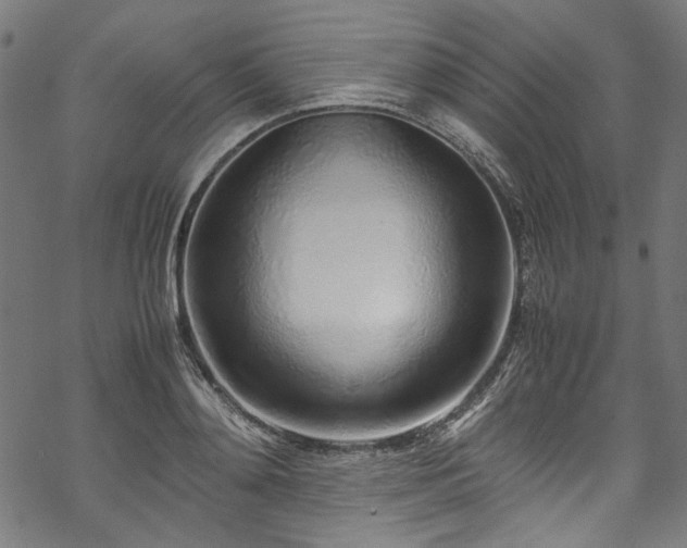 X0000070210892200605301359