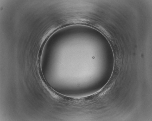 X0000070210893200605301359