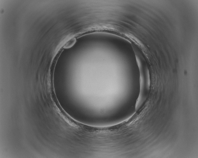 X0000070210894200605301359