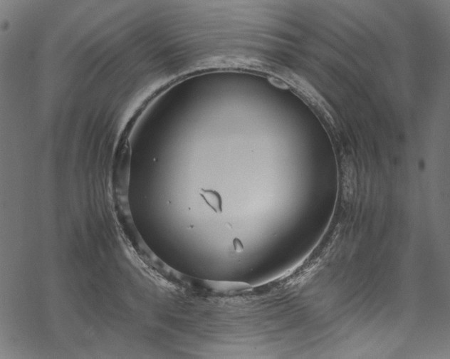 X0000070210896200605301359