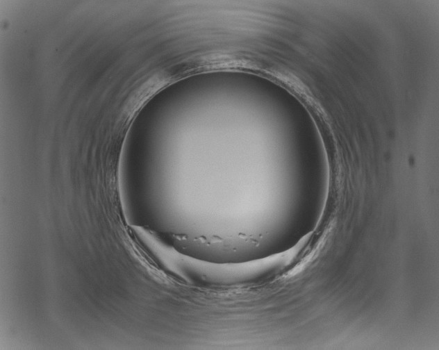 X0000070210897200605301359