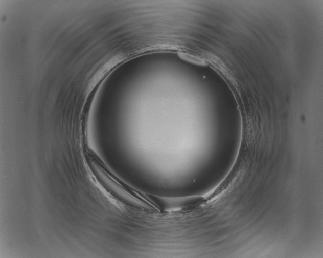 X0000070210898200605301359