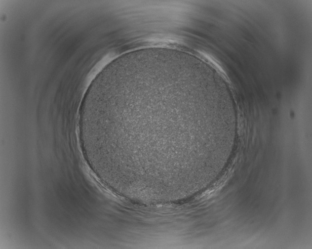 X0000070210899200605301359