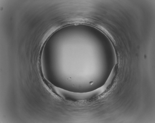 X0000070210901200605301359