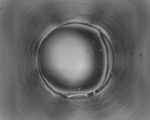 X0000070210902200605301359