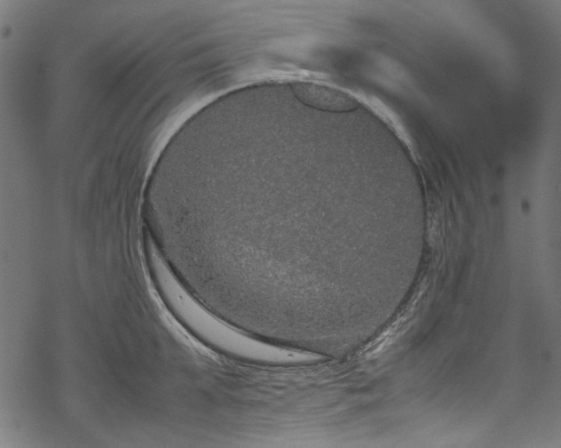 X0000070210903200605301359