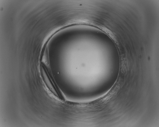 X0000070210904200605301359