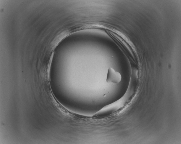 X0000070210905200605301359