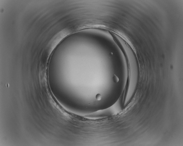 X0000070210906200605301359