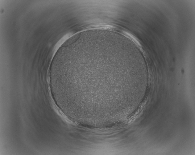 X0000070210907200605301359