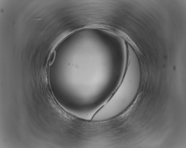 X0000070210908200605301359