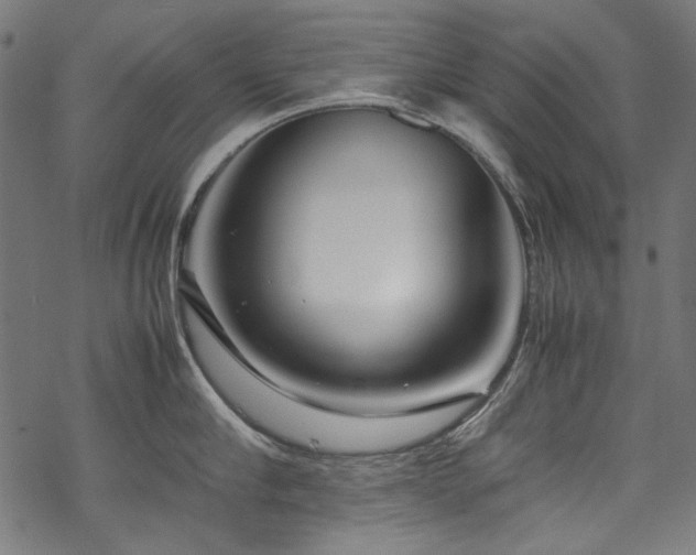 X0000070210910200605301359