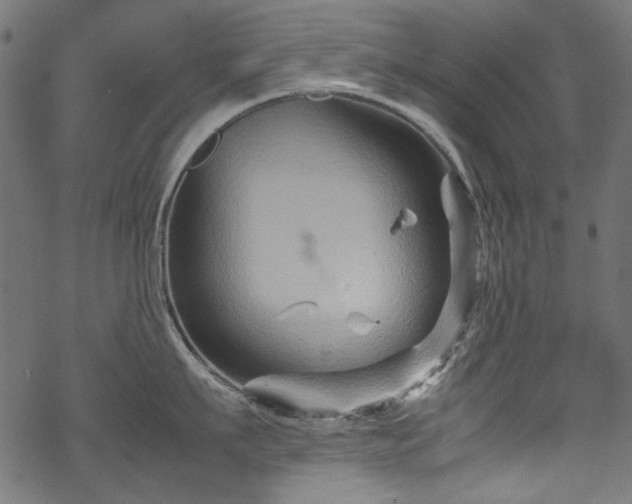 X0000070210911200605301359