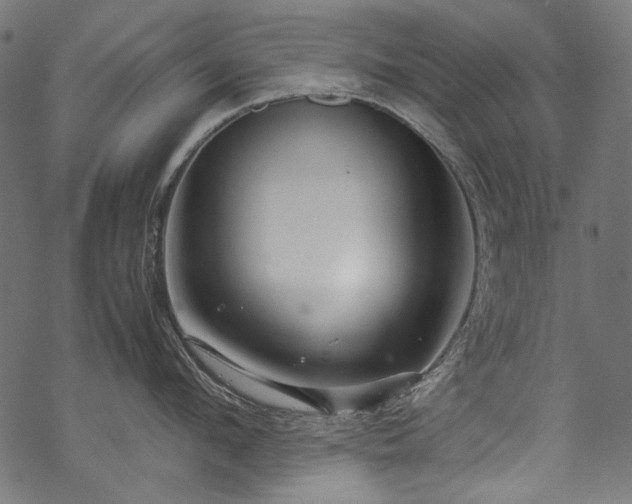 X0000070210912200605301359