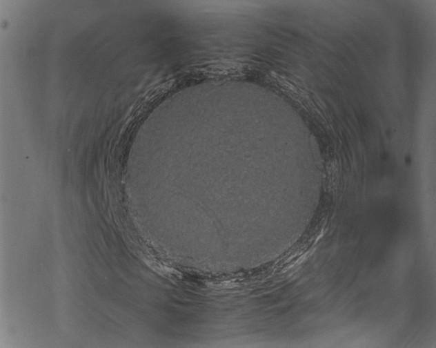 X0000070210913200605301358