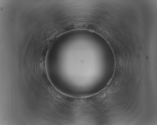 X0000070210914200605301358