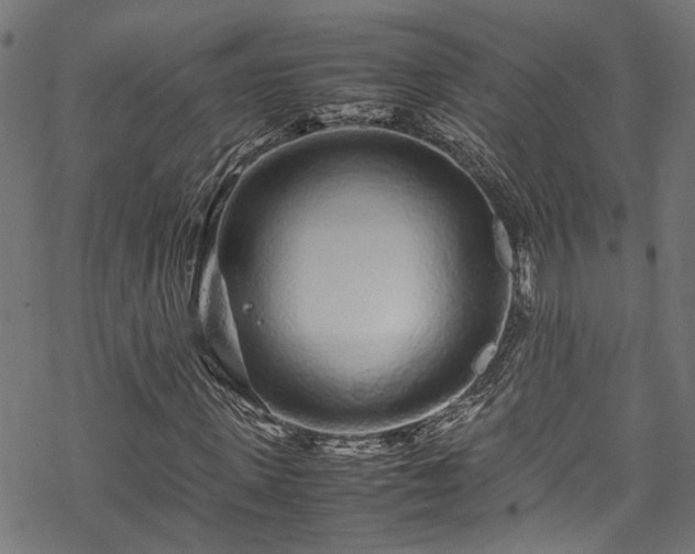 X0000070210915200605301358