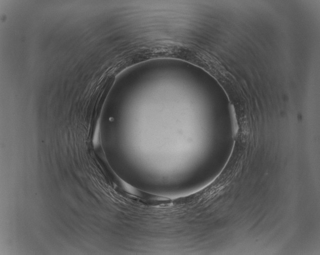 X0000070210916200605301358