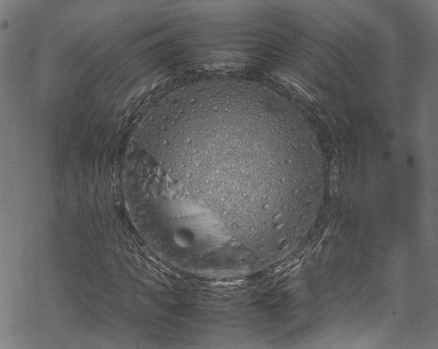 X0000070210917200605301358