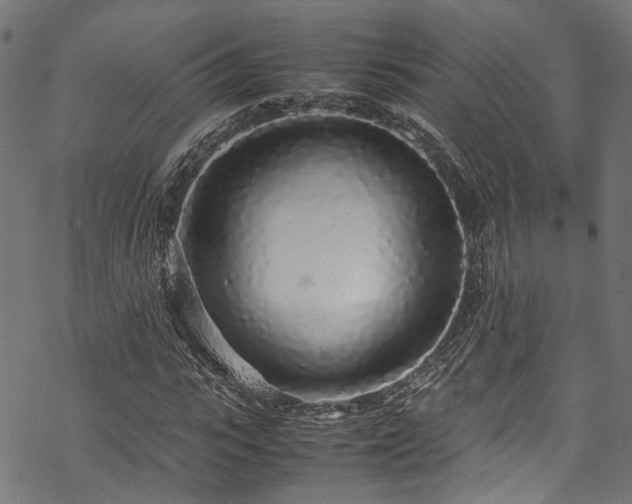 X0000070210919200605301358