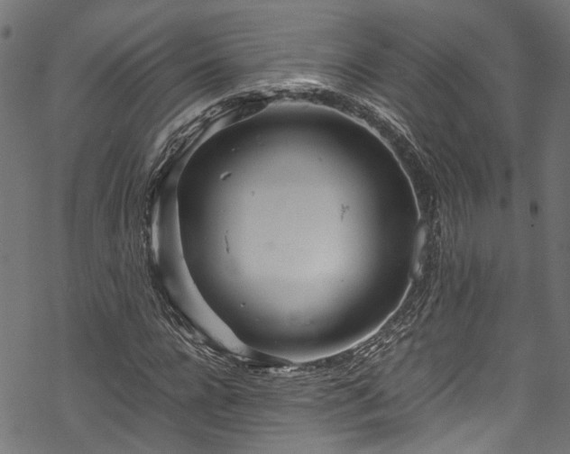 X0000070210920200605301358